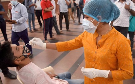 India Reports 203 New COVID-19 Cases Amid JN.1 Variant | June 2025 Update