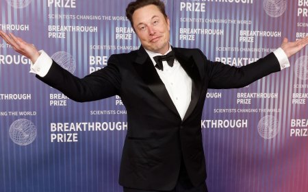 How Elon Musk Became the Richest Man in the World (2025)