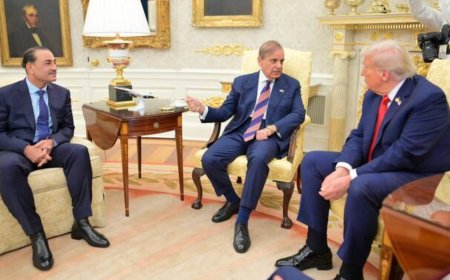 Pakistan PM Shehbaz Sharif and Army Chief Asim Munir Meet Trump at White House Amid Growing US-Pak Ties