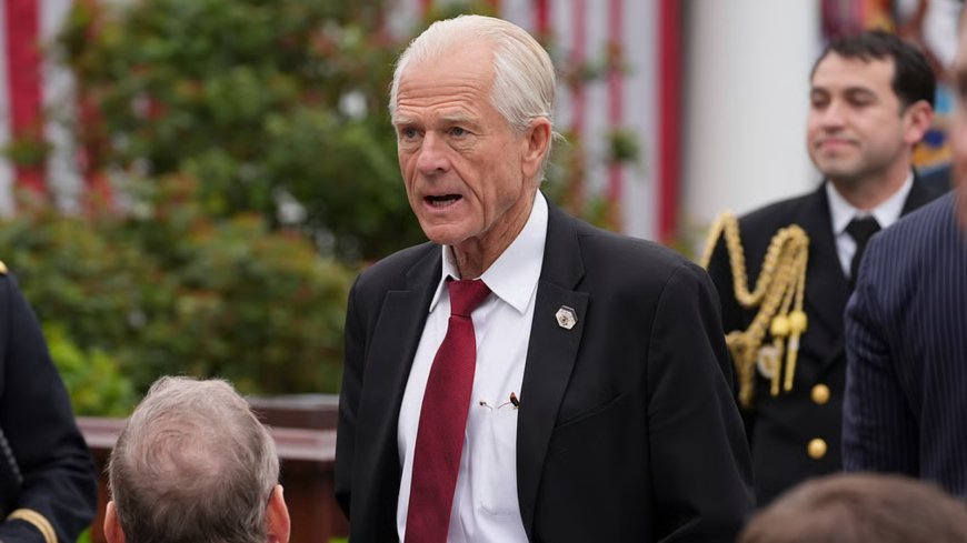 Trump Aide Peter Navarro Warns India Over Trade, Calls BRICS 'Vampires'