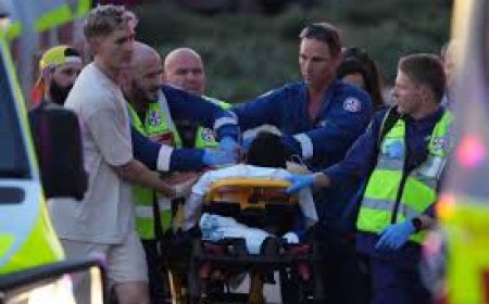 Bondi Beach Tragedy: 15 Dead, Suspects Identified, Bystander Hailed as Hero
