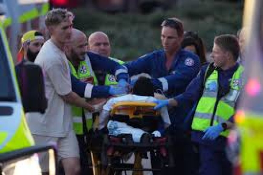Bondi Beach Tragedy: 15 Dead, Suspects Identified, Bystander Hailed as Hero